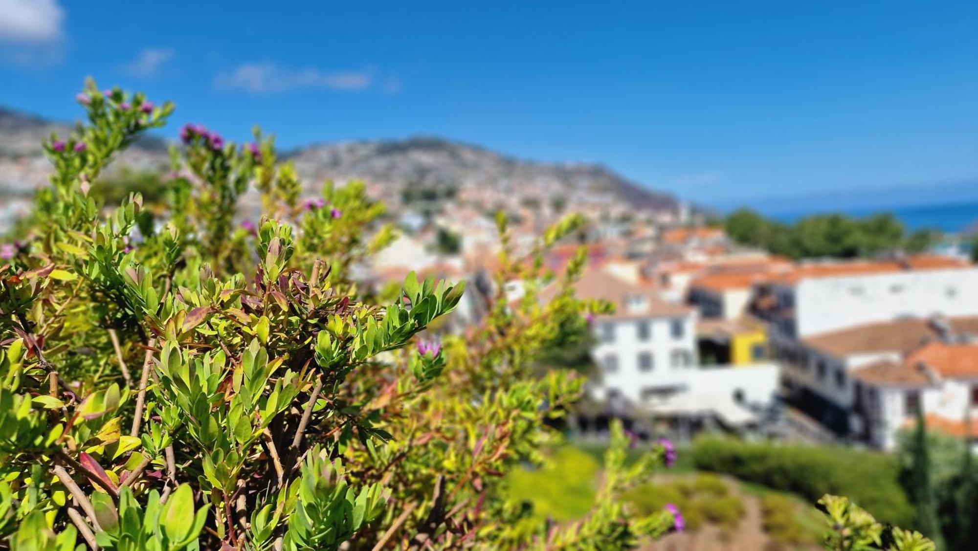 Daysy Loft By Lovelystay Funchal  Exterior photo